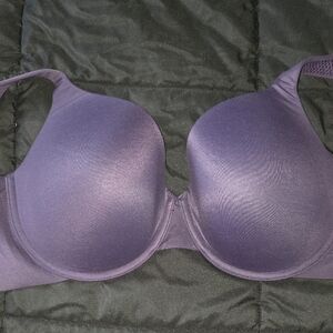 Cacique Deep Purple Bra